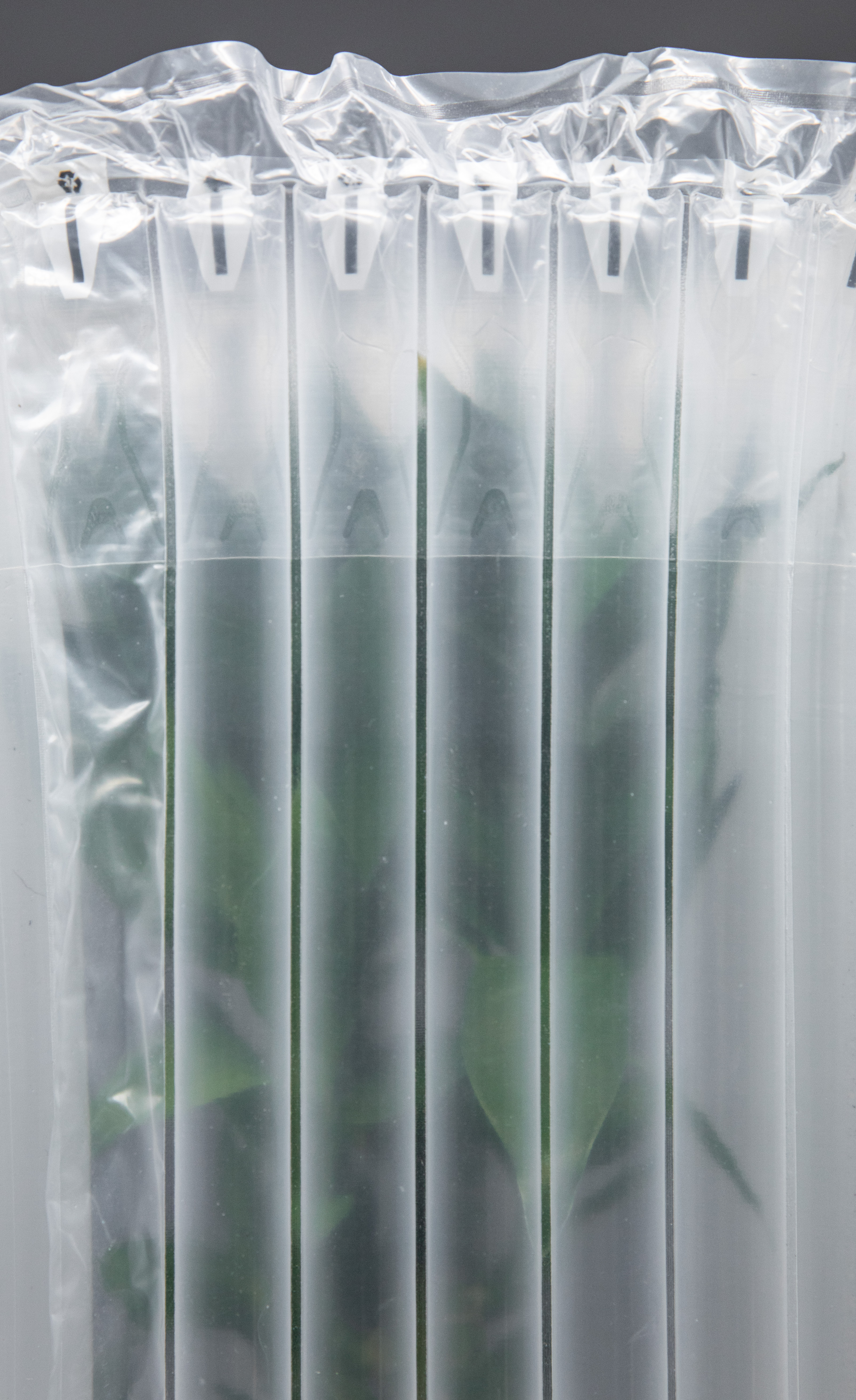 Bolsa de columna de aire inflable transparente para artesanía